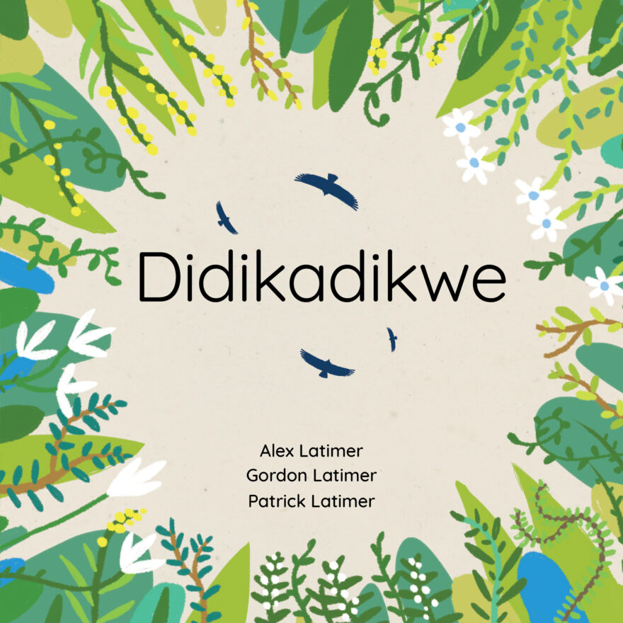 Didikadikwe cover