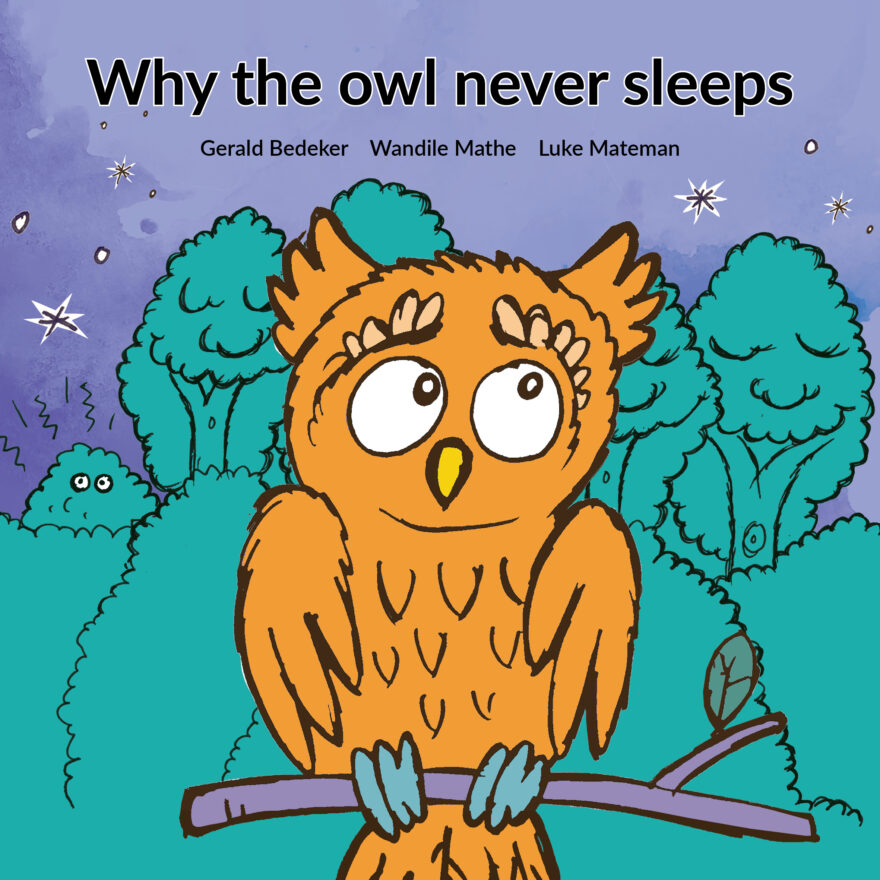 Cover of Why the owl never sleeps by Wandile Mathe