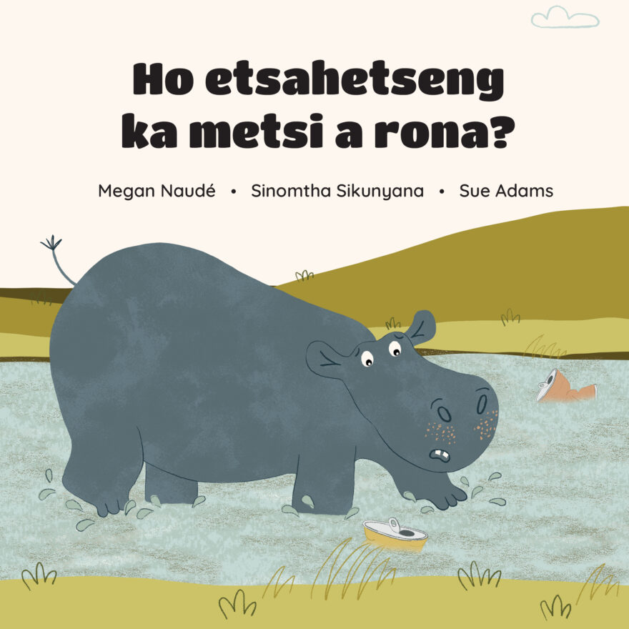 Ho etsahetseng ka metsi a rona? cover