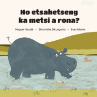 Ho etsahetseng ka metsi a rona?