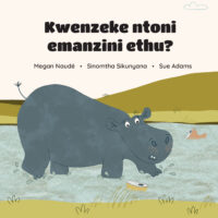Kwenzeke ntoni emanzini ethu?