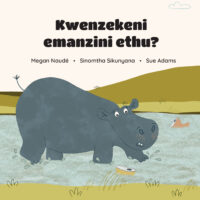 Kwenzekeni emanzini ethu?